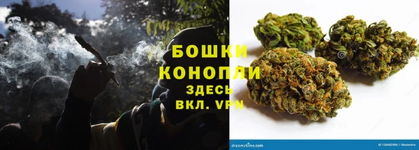 стафф Михайлов