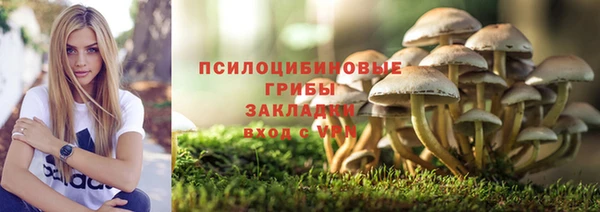 стафф Михайлов
