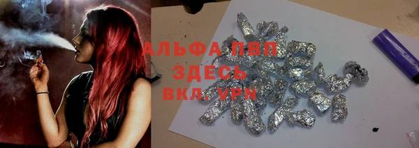 стафф Михайлов