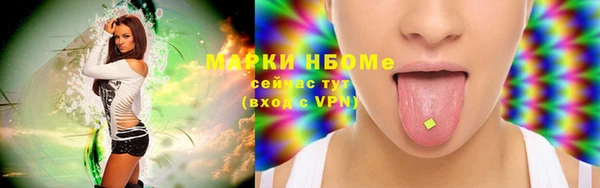 стафф Михайлов