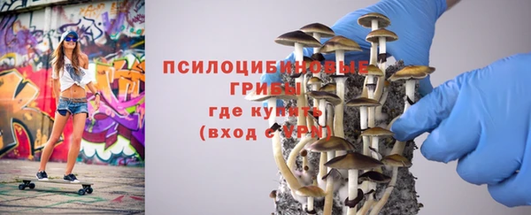стафф Михайлов