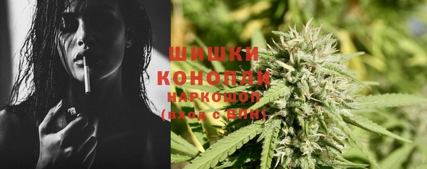 стафф Михайлов