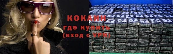 стафф Михайлов